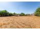 Large backyard with shed and covered area at 6319 N Mockingbird Ln, Paradise Valley, AZ 85253