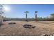 Large backyard with gravel and two palm trees at 669 S Saddle St, Gilbert, AZ 85233