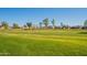 Expansive green space perfect for recreation at 10421 E Cliffrose Ln, Florence, AZ 85132