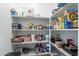 Well-organized pantry with ample shelving for storage at 10421 E Cliffrose Ln, Florence, AZ 85132