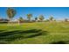 Community green space with a soccer goal at 11271 E Sunflower Ct, Florence, AZ 85132