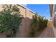 Landscaped side yard with paved walkway and privacy fence at 20316 W Turney Ave, Buckeye, AZ 85396