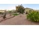 Landscaped backyard with gravel, trees, and plants at 3583 N Brooklyn Dr, Buckeye, AZ 85396