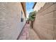 Stone pathway between block walls at 40855 N Barnum Way, Anthem, AZ 85086