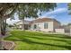 Well-maintained home exterior with a green lawn and covered patio, perfect for outdoor living at 4135 E Hale Cir, Mesa, AZ 85205