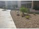 Landscaped area with gravel and small plants next to a building at 11042 N 28Th Dr # 136, Phoenix, AZ 85029