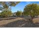 Landscaped backyard with mature citrus trees at 12424 W Bluestem Dr, Sun City West, AZ 85375