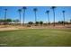 Fairway view with palm trees and manicured lawn at 13827 W Junipero Dr, Sun City West, AZ 85375