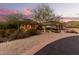 Luxury home with desert landscaping, a large front yard, and a beautiful sunset at 14216 S Canyon Dr, Phoenix, AZ 85048