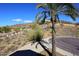 Landscaped street view showcasing desert plants and luxury homes at 2105 E Kerry Ln, Phoenix, AZ 85024