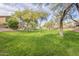 Expansive grassy lawn area in a community setting at 2250 E Deer Valley Rd # 48, Phoenix, AZ 85024