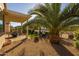 Relaxing backyard with covered patio, palm tree, and gravel landscaping at 2653 E Marcos Dr, Casa Grande, AZ 85194