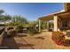 Landscaped backyard with desert plants and a patio area at 2653 E Marcos Dr, Casa Grande, AZ 85194