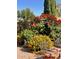 Relaxing backyard oasis with colorful flowers and comfortable seating at 4842 E Surrey Ave, Scottsdale, AZ 85254