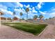 Large grassy backyard with a swimming pool and palm trees at 4963 E Hobart St, Mesa, AZ 85205