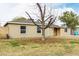 Newly renovated tan house with an orange door and a tree in the front yard at 1022 E Mariposa St, Phoenix, AZ 85014