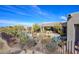 Inviting backyard showcasing mature desert landscaping and outdoor seating at 10567 E Mark Ln, Scottsdale, AZ 85262