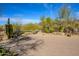 Paver driveway leading to the house surrounded by lush desert landscaping featuring mature trees and cacti at 10567 E Mark Ln, Scottsdale, AZ 85262