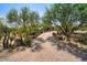 Brick paver driveway framed by desert landscaping and mature native trees providing a welcoming approach at 10567 E Mark Ln, Scottsdale, AZ 85262