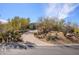 Desert landscaping accents this home with a circular drive and beautiful mature trees at 10567 E Mark Ln, Scottsdale, AZ 85262