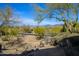 Desert landscape with a street view and mature trees at 10567 E Mark Ln, Scottsdale, AZ 85262