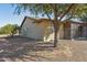 Side view of single story house featuring a covered patio and mature trees at 10826 N 115Th Ave, Youngtown, AZ 85363