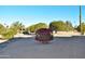 Spacious backyard with desert landscaping and large trees at 20619 N Echo Mesa Dr, Sun City West, AZ 85375