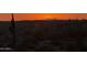 Sunset view of Sonoran Desert landscape with saguaro cacti at 221 E Nebraska St, Florence, AZ 85132