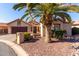 Tan two-car garage home with desert landscaping and a large palm tree in front at 25046 S Foxglenn Dr, Sun Lakes, AZ 85248