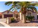 Tan two-car garage home with desert landscaping and a large palm tree in front at 25046 S Foxglenn Dr, Sun Lakes, AZ 85248