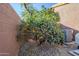 Backyard with mature orange tree, producing fruit, and AC unit at 4056 E Rosemonte Dr, Phoenix, AZ 85050