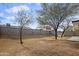 Landscaped backyard with trees and gravel at 4607 E Park St, Phoenix, AZ 85042