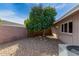 Gravel backyard with a mature citrus tree at 4728 E Mulberry Dr, Phoenix, AZ 85018