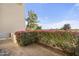 Private patio with bougainvillea and city views at 8 Biltmore Est # 123, Phoenix, AZ 85016