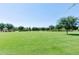 Expansive green park with mature trees and residential homes in the background at 8729 W Tonopah Dr, Peoria, AZ 85382