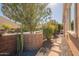 Attractive side yard featuring mature trees, stone path, and desert landscaping at 1397 E Verde Blvd, Queen Creek, AZ 85140