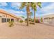 Backyard view showing gravel, palm trees, and home at 15225 W Via Manana Dr, Sun City West, AZ 85375