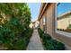 Pathway between green bushes and a house exterior at 19111 N 94Th Ave, Peoria, AZ 85382