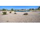 Landscaped golf course with pond and mature trees at 26409 S Moonshadow Dr, Sun Lakes, AZ 85248