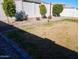 Landscaped backyard with grass, gravel, and small trees at 3094 N 195Th Dr, Buckeye, AZ 85396