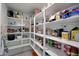 Well-organized pantry with ample shelving for storage at 4802 S Duffy --, Mesa, AZ 85212