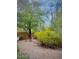 Landscaped backyard with desert plants and trees at 6231 E Mark Way # 32, Cave Creek, AZ 85331