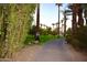 Curving driveway with lush landscaping and palm trees leading to the house at 7249 N Central Ave, Phoenix, AZ 85020