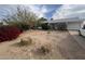 Ranch style home with a large front yard and mature trees at 7341 N 39Th Ave, Phoenix, AZ 85051