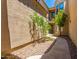 Private courtyard with a walkway, gravel, and small trees at 7445 E Eagle Crest Dr # 1065, Mesa, AZ 85207