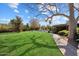 Expansive backyard features a well-manicured lawn, mature trees, and a brick pathway to the home at 8031 N 14Th Ave, Phoenix, AZ 85021