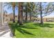 Community courtyard with lush lawn and trees at 8241 N Central Ave # 13, Phoenix, AZ 85020