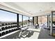 Modern home gym featuring state-of-the-art equipment and scenic views at 10944 E Whistling Wind Way, Scottsdale, AZ 85255