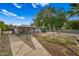 View of the backyard with a large tree and walkway at 1312 E Colter St, Phoenix, AZ 85014