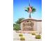 Sunbird Golf Resort entrance sign with American flag and cacti at 1621 E Firestone Dr, Chandler, AZ 85249